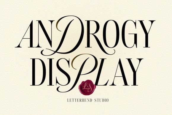 Androgy Display: A Font for Elegant Branding