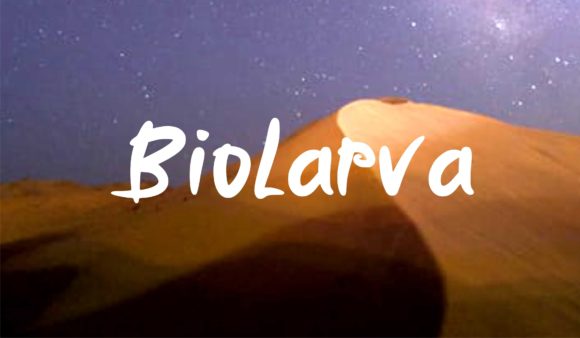 Biolarfa Font for Web Design