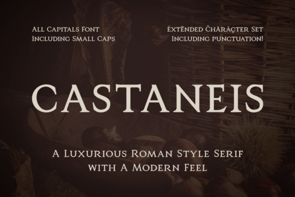 Castaneis: A Serif Font for Elegant Branding