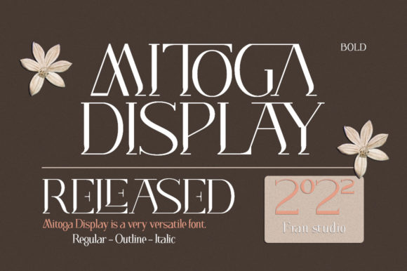 Mitoga Display Font Review