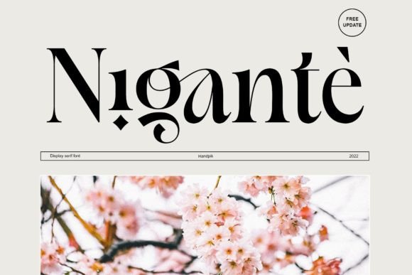 Nigante: A Stylish Font for Small Business Branding