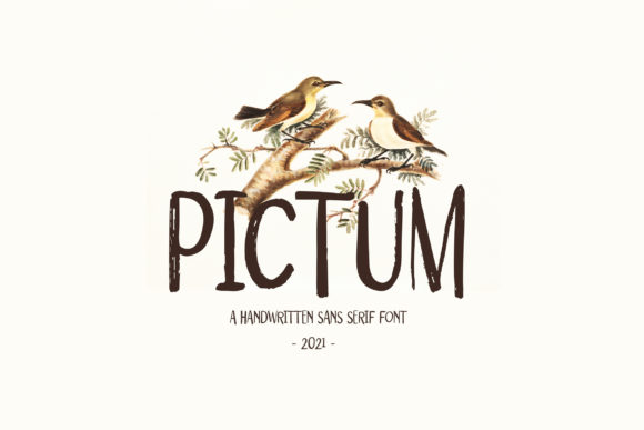 Pictum: A Unique Display Font