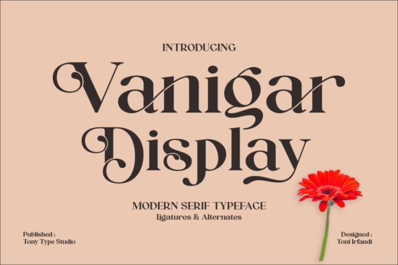 Vanigar Display: A Stylish Font for Creative Projects