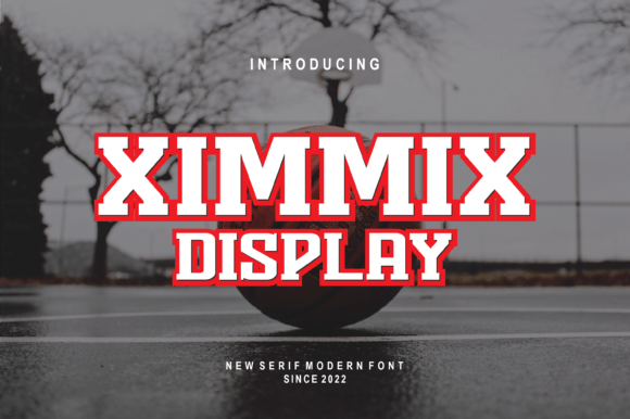 Ximmix Display Font for Web Design